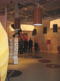 VL Museen Naturkunde im neuen Fenster