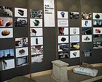 Ausstellungseinheit Kalk - Baustein des Lebens
